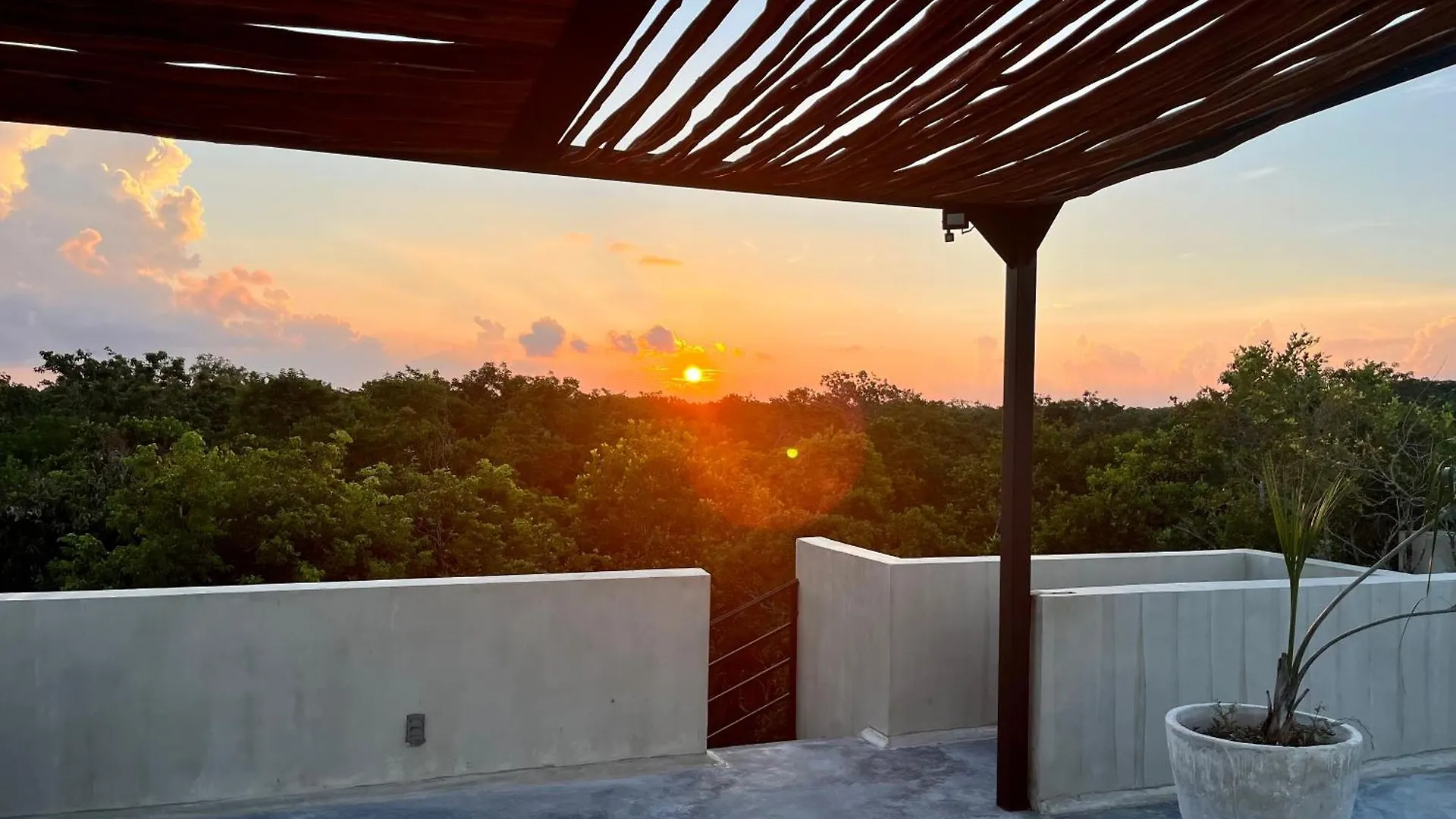Oasis In The Jungle - Tulum Apartment
